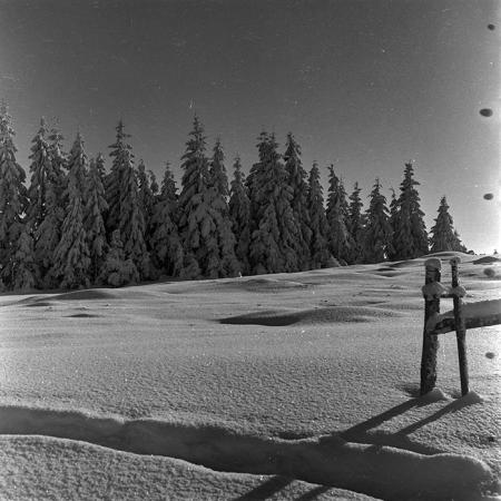 minerva_1986_c1_c10r5_025