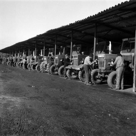 minerva_1986_c1_c1r1_037