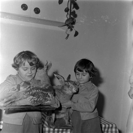 minerva_1986_c1_c4r5_009