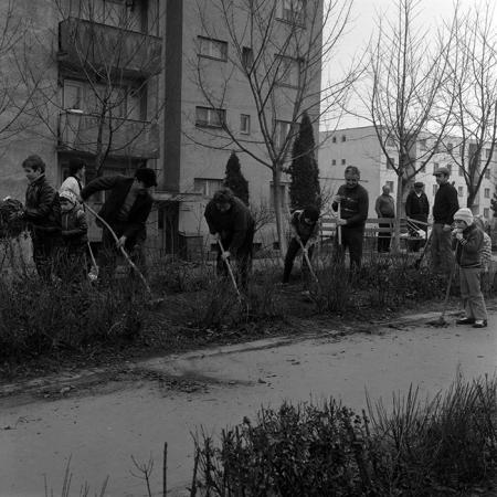 minerva_1986_c1_c6r2_014