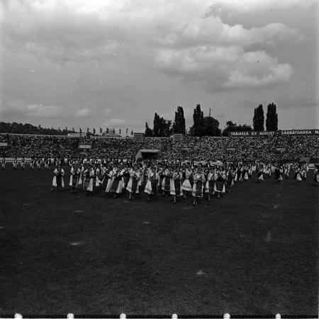 minerva_1986_c1_c7r5_041