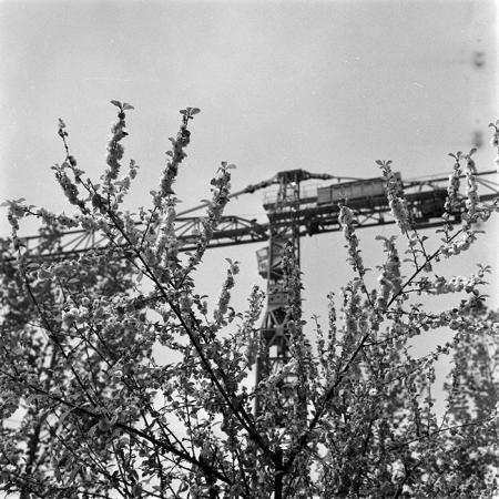 minerva_1986_c2_c10r2_009