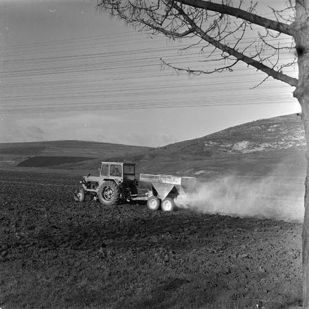 minerva_1986_c2_c10r2_019