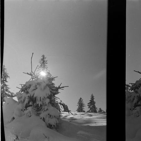 minerva_1986_c2_c1r3_001