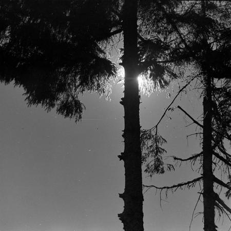 minerva_1986_c2_c1r4_008