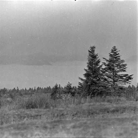 minerva_1986_c2_c1r4_013