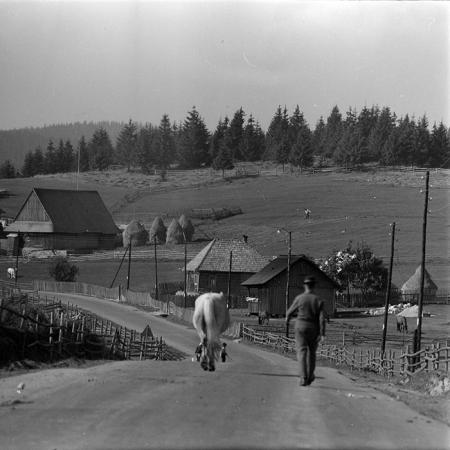 minerva_1986_c2_c1r4_042