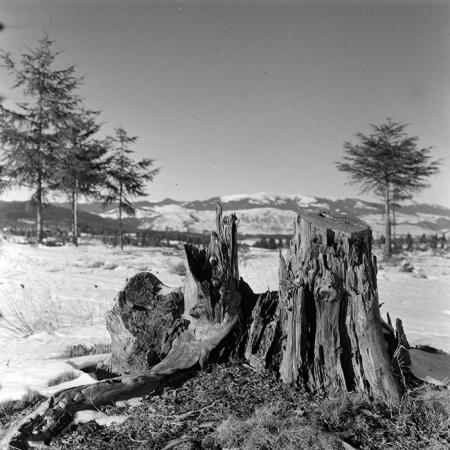 minerva_1986_c2_c1r4_050