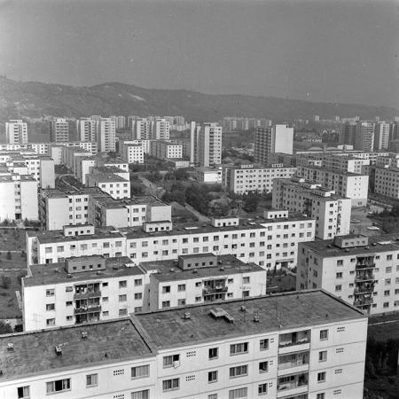 minerva_1986_c2_c1r5_005