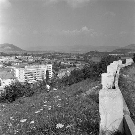 minerva_1986_c2_c2r3_011