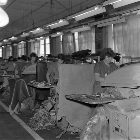 minerva_1986_c2_c4r3_005