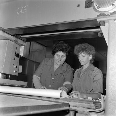 minerva_1986_c2_c4r3_006