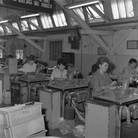 minerva_1986_c2_c4r3_008