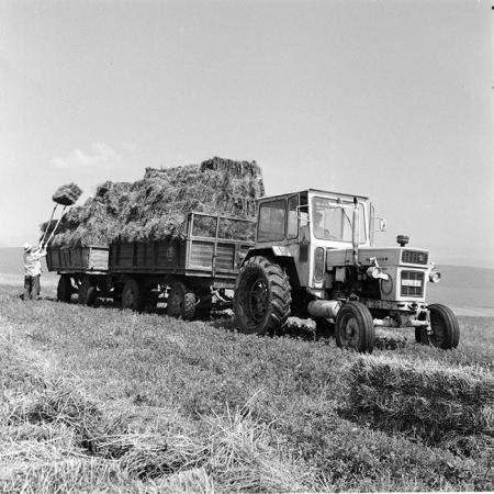 minerva_1986_c2_c9r4_011