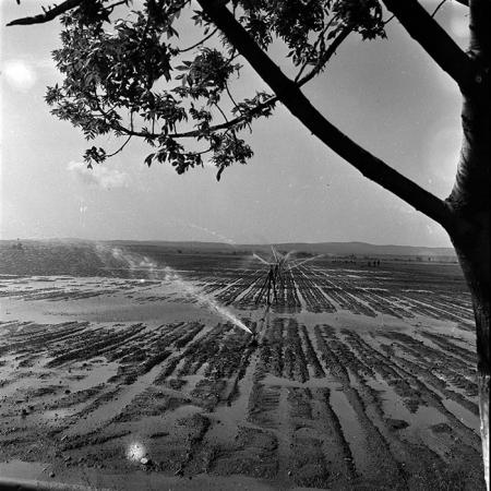 minerva_1986_c3_c1r3_005