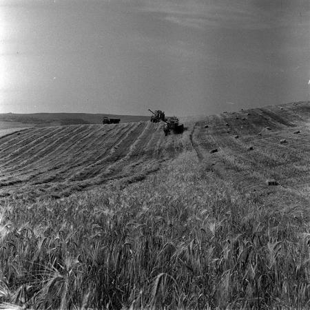 minerva_1986_c3_c1r3_023