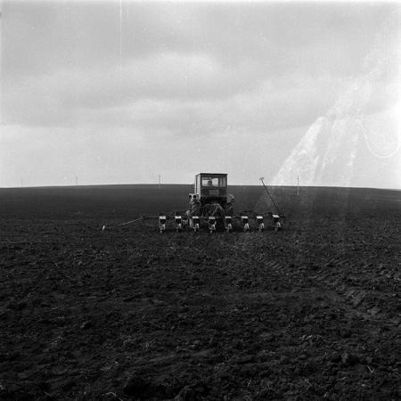 minerva_1986_c3_c6r1_005