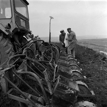 minerva_1986_c3_c6r1_009