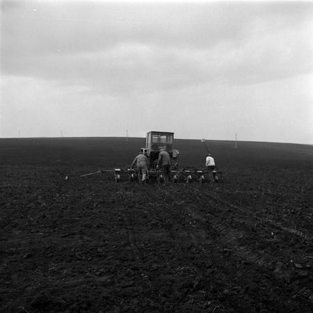 minerva_1986_c3_c6r1_010