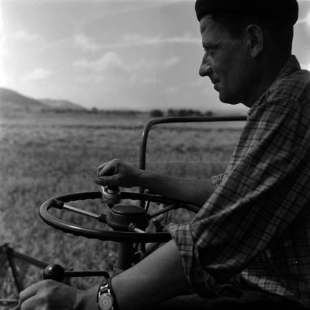 minerva_1986_c3_c7r4_007