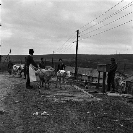 minerva_1986_c3_c9r5_005