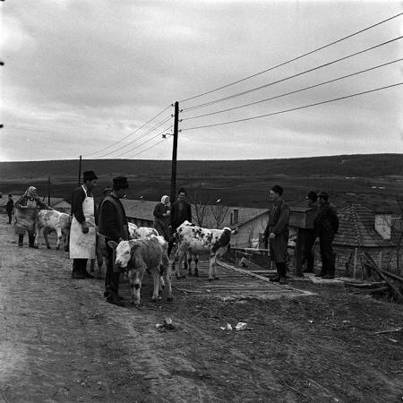 minerva_1986_c3_c9r5_008