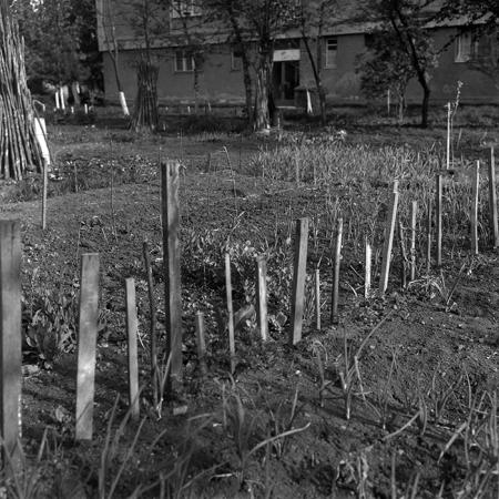 minerva_1987-1988_Industrie_c2_c3r5_026