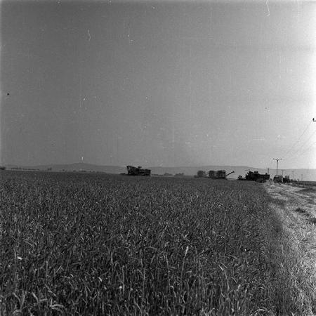 minerva_1987-1991_c2_c1r3_005