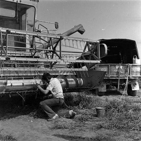 minerva_1987-1991_c2_c1r3_011