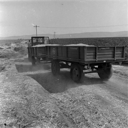 minerva_1987-1991_c2_c1r3_012