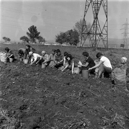 minerva_1987-1991_c2_c1r4_011