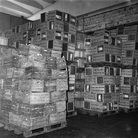 minerva_1987-1991_c2_c1r6_009