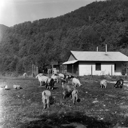 minerva_1987-1991_c2_c3r1_020