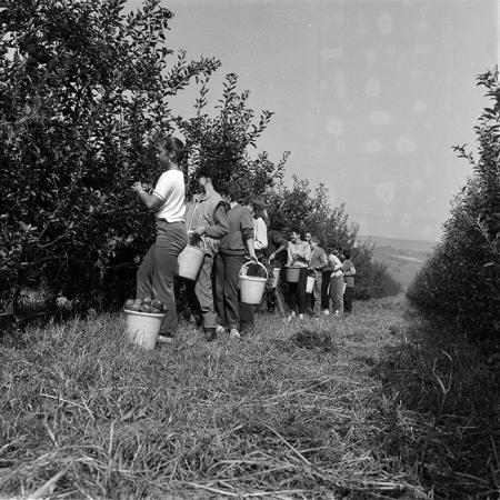 minerva_1987-1991_c2_c5r1_010