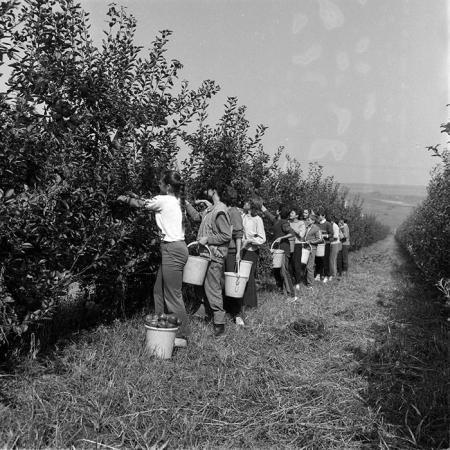 minerva_1987-1991_c2_c5r1_011