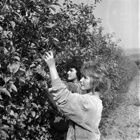 minerva_1987-1991_c2_c5r1_012