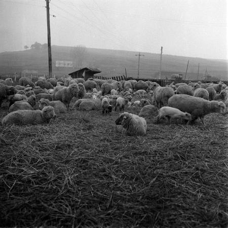 minerva_1987-1991_c2_c5r1_022