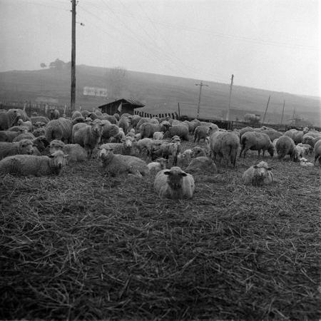 minerva_1987-1991_c2_c5r1_023