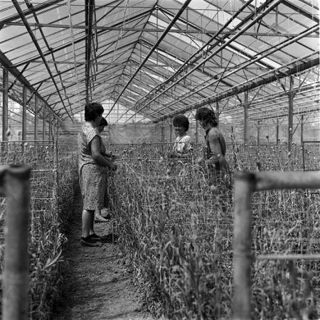 minerva_1987-1991_c2_c5r3_010