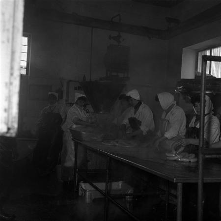 minerva_1987-1991_c2_c5r8_007