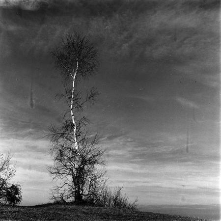 minerva_1987-1991_c2_c6r10_010