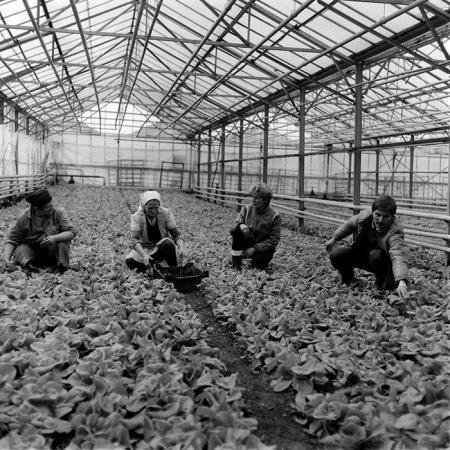 minerva_1987-1991_c2_c6r10_021