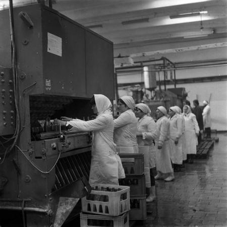 minerva_1987_c2_c10r5_004