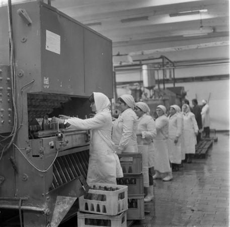 minerva_1987_c2_c10r5_005