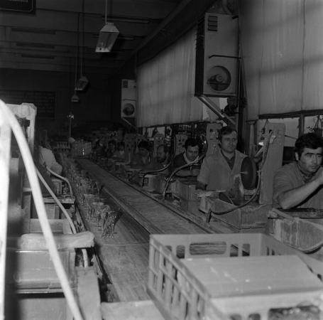 minerva_1987_c2_c5r4_023