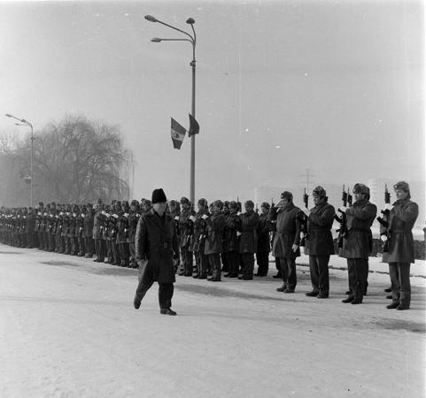 minerva_1987_c2_c7r3_007