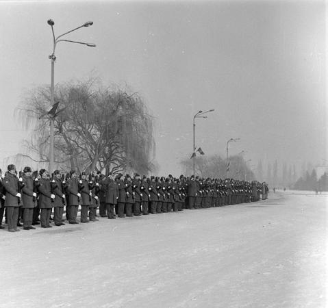 minerva_1987_c2_c7r3_010