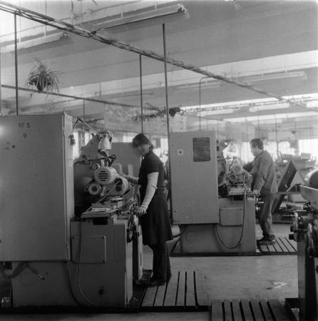 minerva_1987_c2_c8r5_008