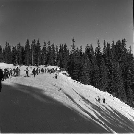 minerva_1987_c4_c1r3_016