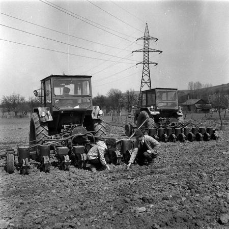 minerva_1988_agrar_c1r1_025